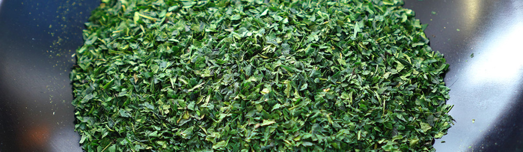 main_img04.jpg main_img04.jpg